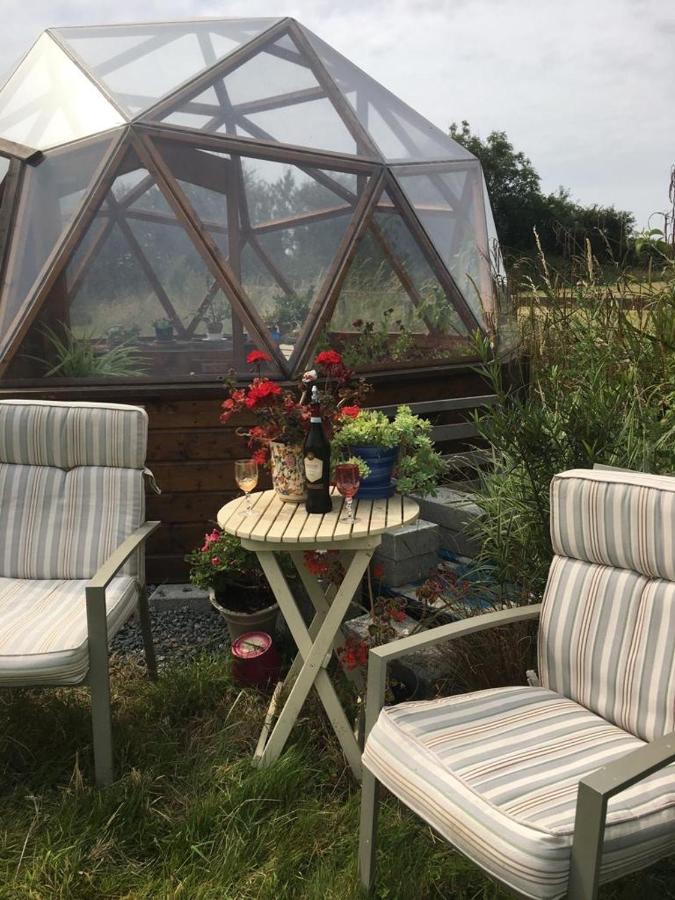Tobernaglough Wexford Pet Friendly Country B&B Ramsgrange Kültér fotó