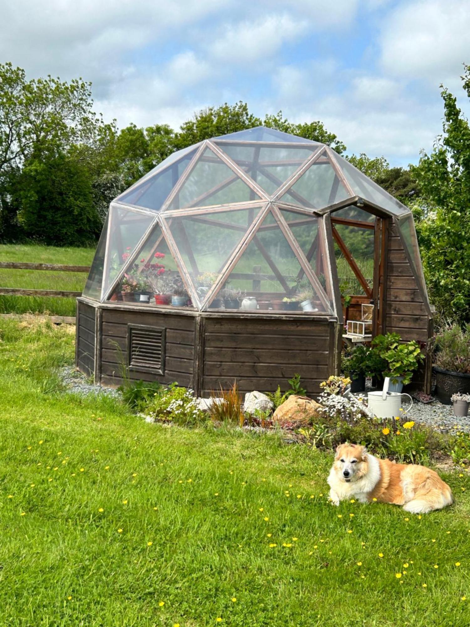 Tobernaglough Wexford Pet Friendly Country B&B Ramsgrange Kültér fotó