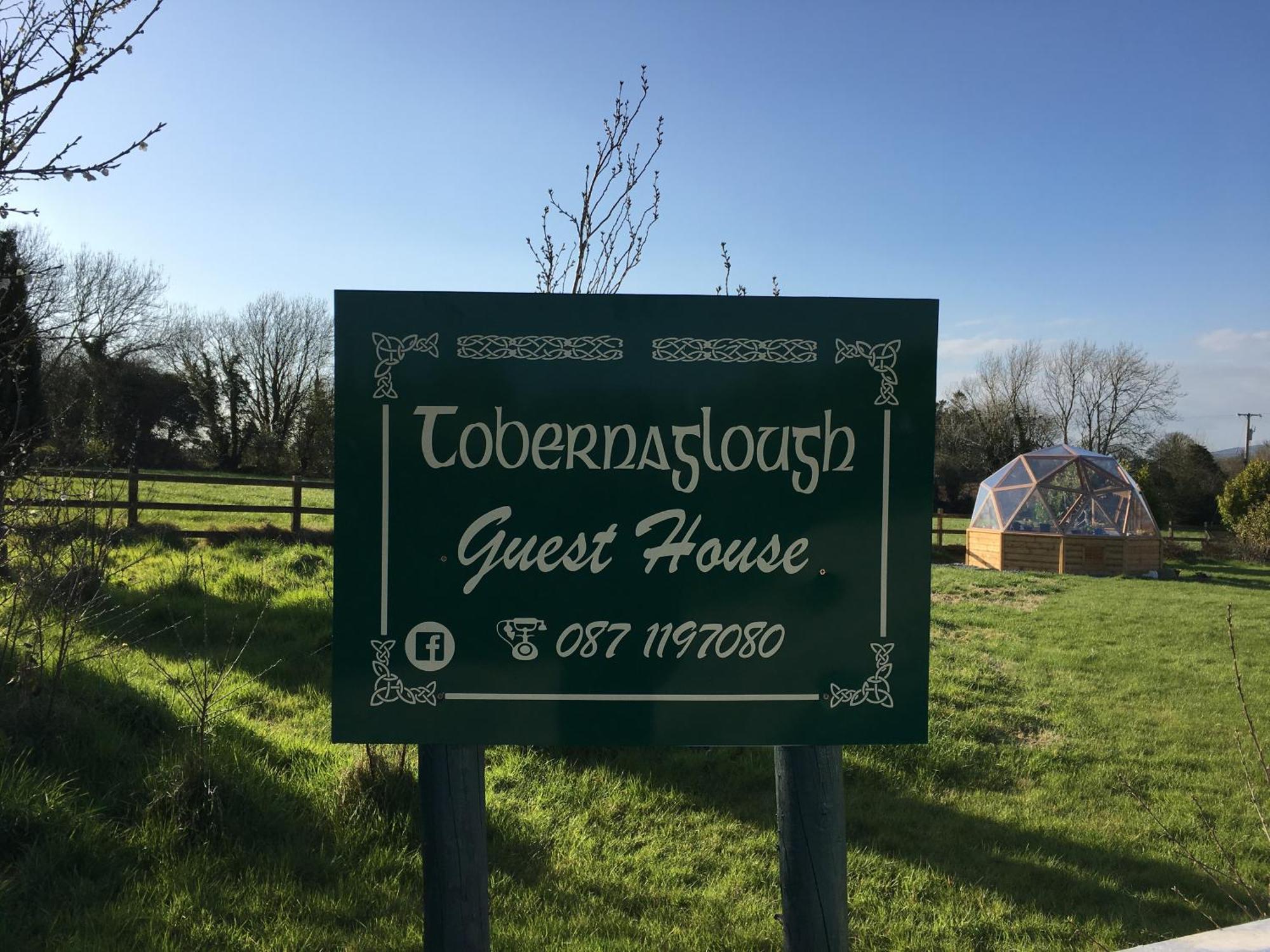 Tobernaglough Wexford Pet Friendly Country B&B Ramsgrange Kültér fotó