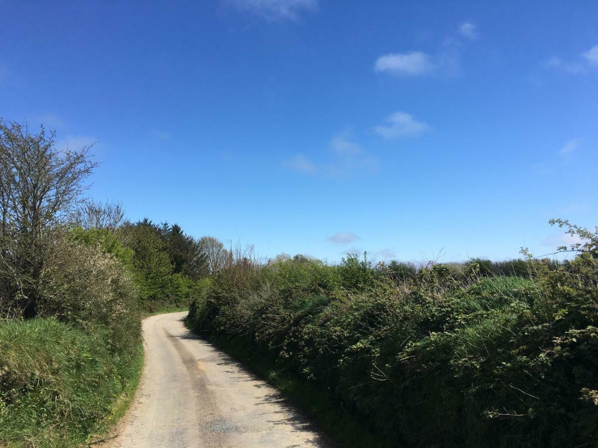 Tobernaglough Wexford Pet Friendly Country B&B Ramsgrange Kültér fotó
