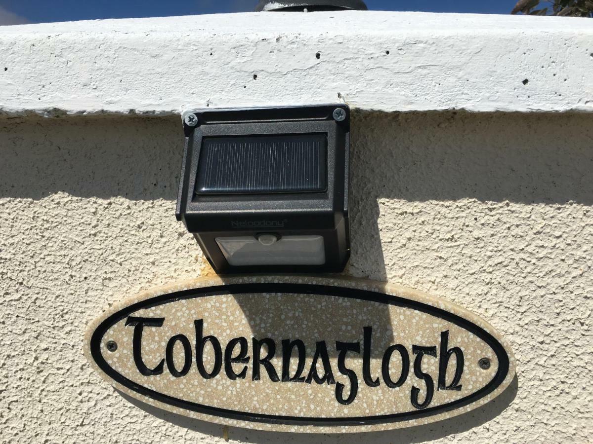 Tobernaglough Wexford Pet Friendly Country B&B Ramsgrange Kültér fotó