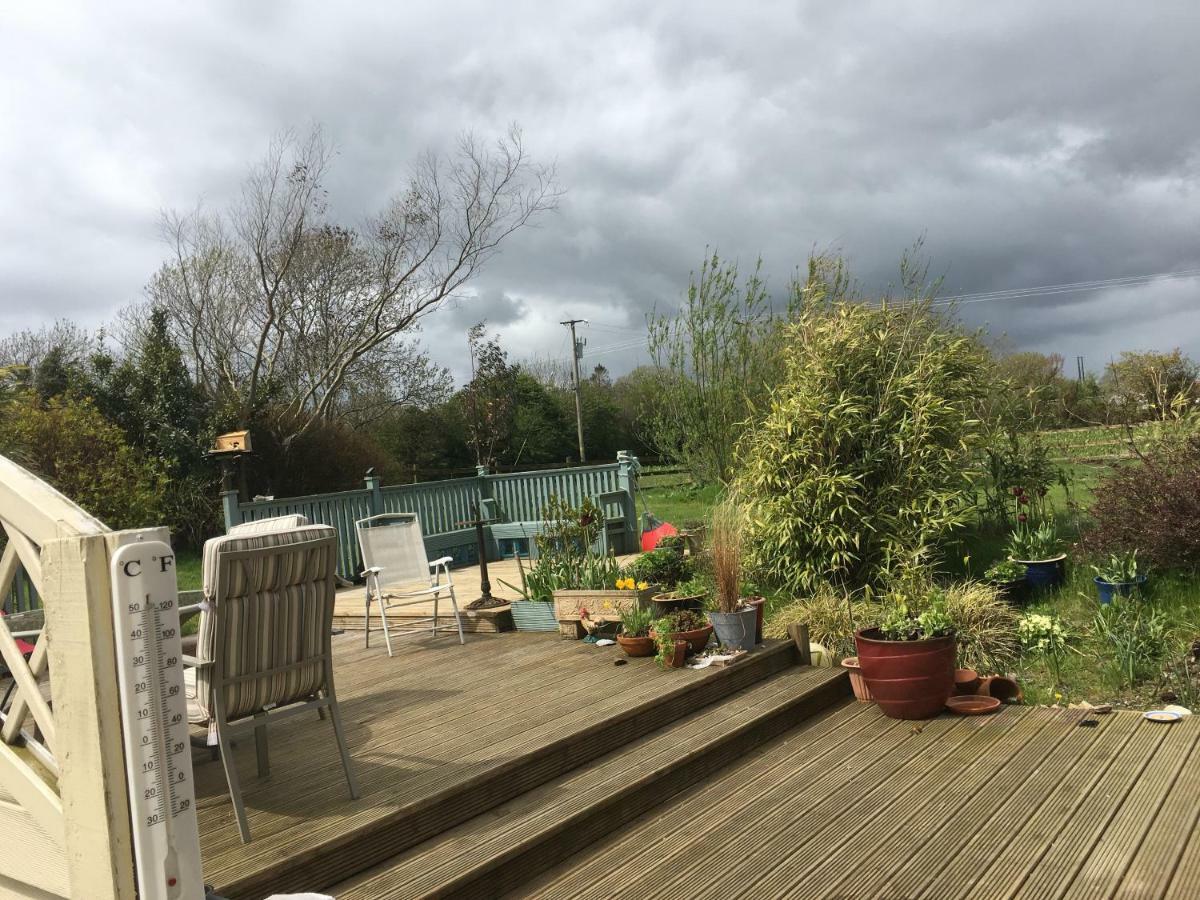 Tobernaglough Wexford Pet Friendly Country B&B Ramsgrange Kültér fotó