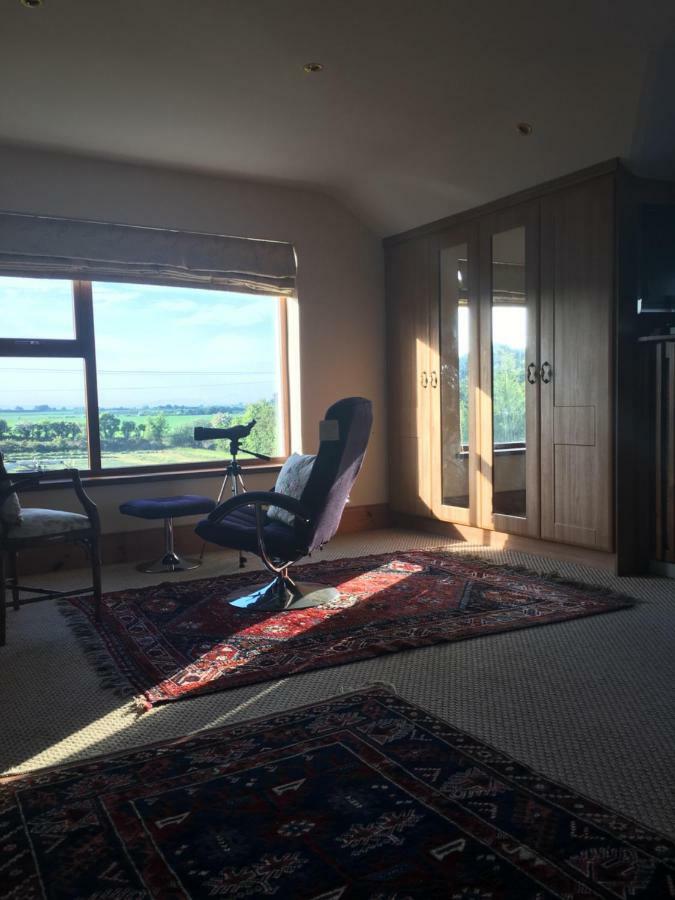 Tobernaglough Wexford Pet Friendly Country B&B Ramsgrange Kültér fotó