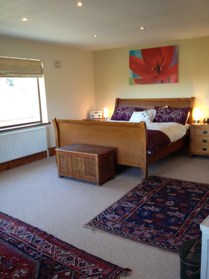 Tobernaglough Wexford Pet Friendly Country B&B Ramsgrange Kültér fotó