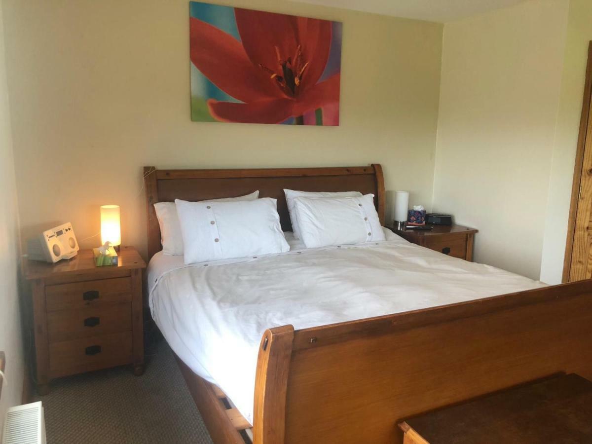 Tobernaglough Wexford Pet Friendly Country B&B Ramsgrange Kültér fotó