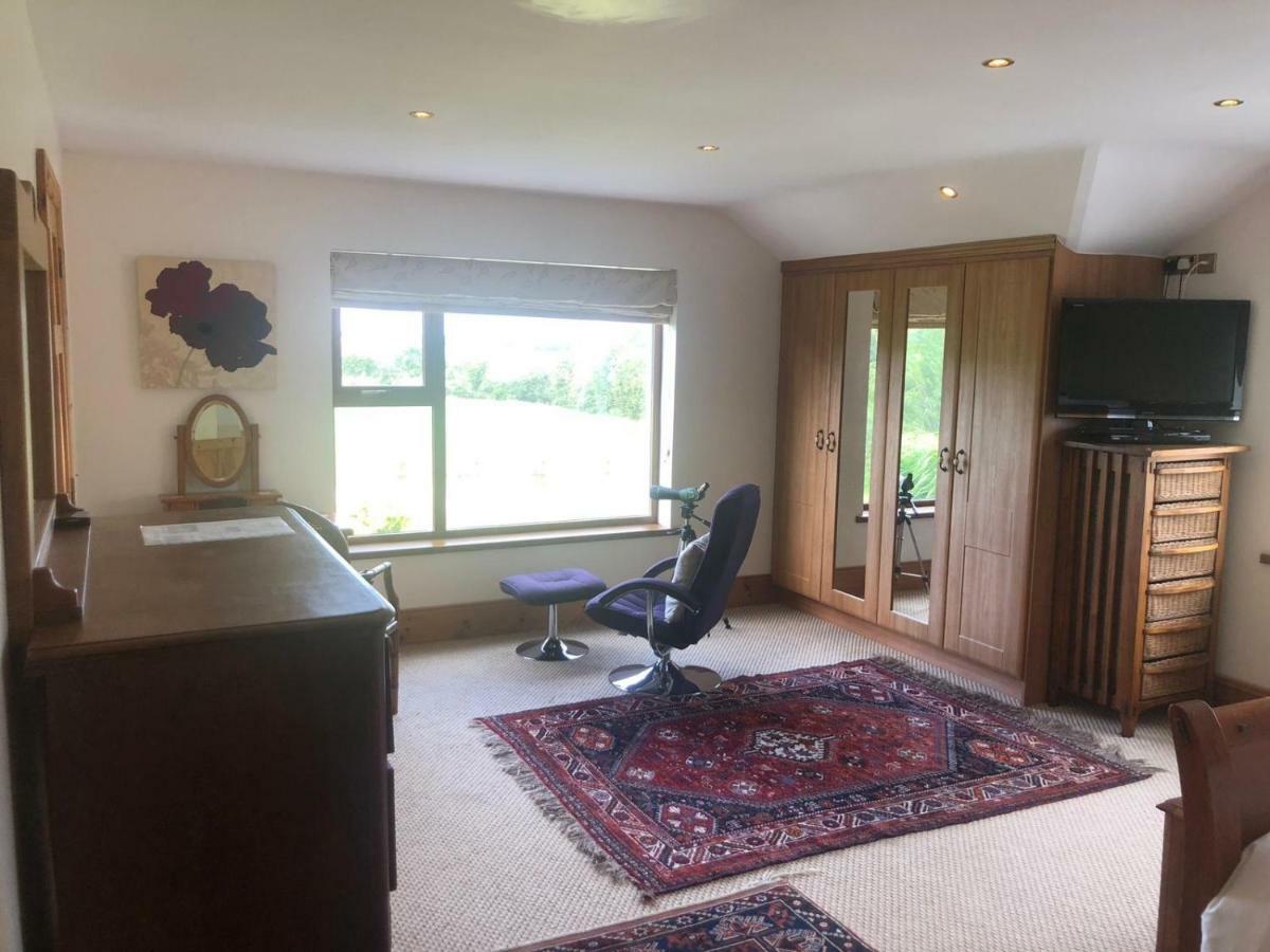 Tobernaglough Wexford Pet Friendly Country B&B Ramsgrange Kültér fotó