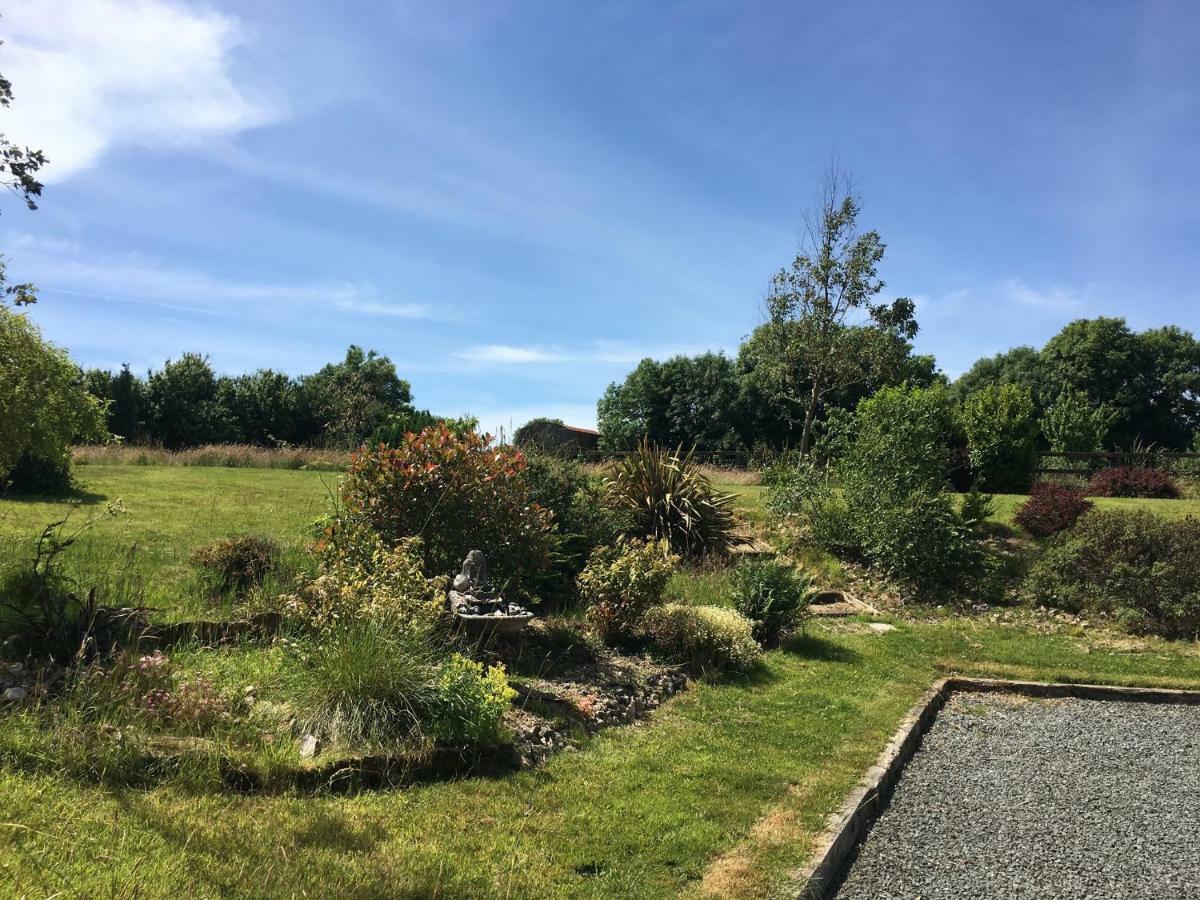 Tobernaglough Wexford Pet Friendly Country B&B Ramsgrange Kültér fotó