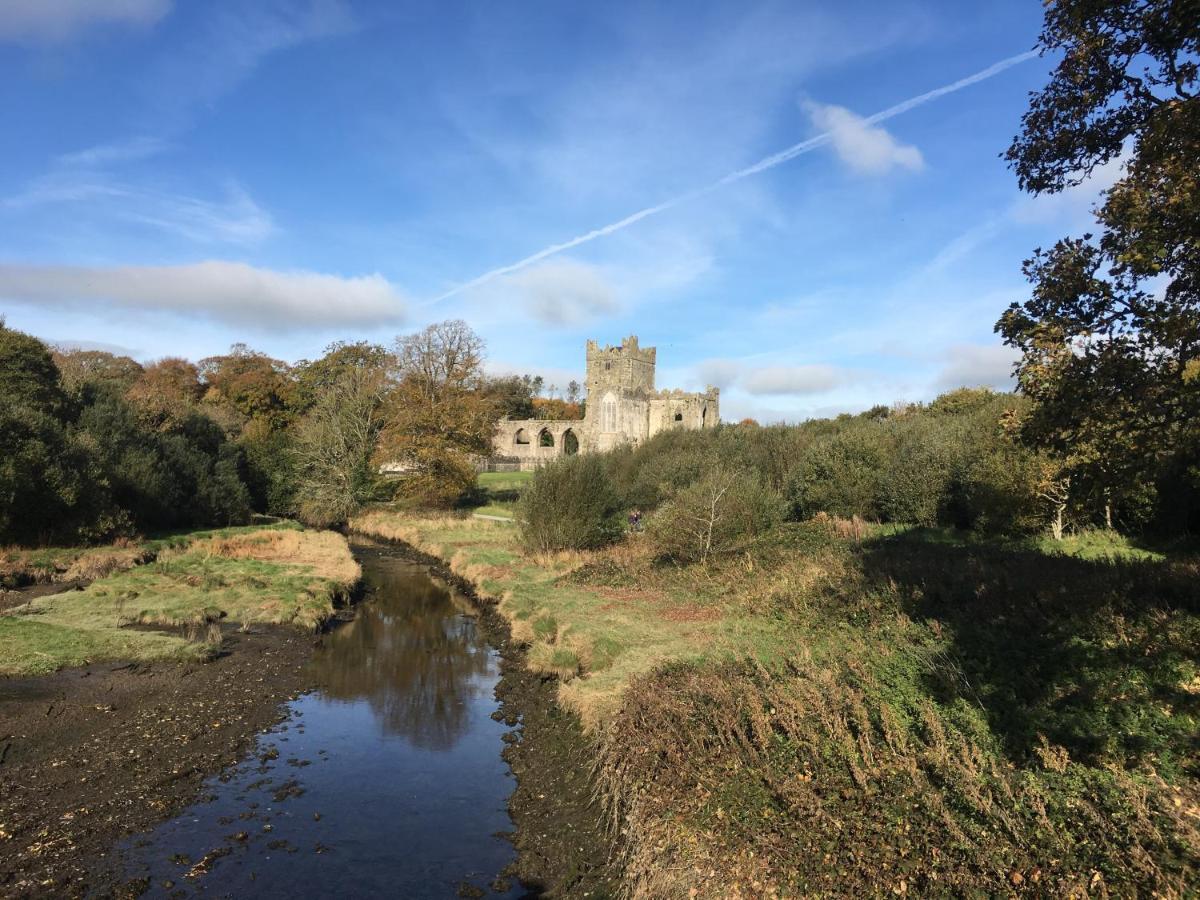 Tobernaglough Wexford Pet Friendly Country B&B Ramsgrange Kültér fotó